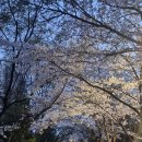 정릉천 제방 이미지