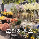 대구 모던하우스 홈플러스성서점