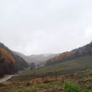 달리는농장