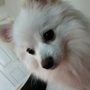 개스타하우스 이미지