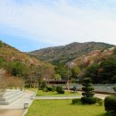 부산어린이대공원 Daum카페