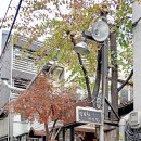 최국희약국 이미지