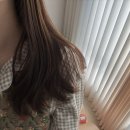 로지헤어 Daum카페