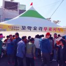 벌교참다래직판장 이미지