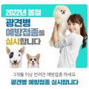 광명시티동물병원 이미지