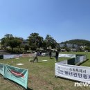 디어마이펫수원
