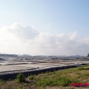 풍경(오월의 이야기 이미지