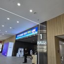 주식회사 펫생각 | 청주 반려동물 박람회 2026 펫친소 후기 고양이 집사 펫마음카드
