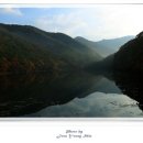 주산지공용정류장 이미지