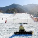 41190-01-07-185 | 무주 스키장 초보 야간 스키강습 리프트권 할인 무주리조트 숙소