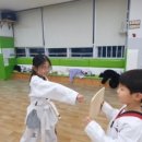 초심, 처음태권도 이미지