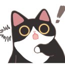 문화카모터스 이미지