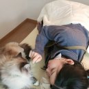 백호베드 이미지