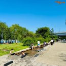 마포-현장-마포-1451 | [여의도한강공원] 물빛광장 도랑 물놀이코스 가볍게 즐기기 (주차·분수시간 정보)