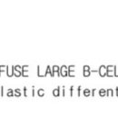 plasmablastic differentiation 은 뭘까요? 이미지