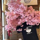 라멘집입니다 이미지