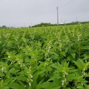 만재농장 이미지