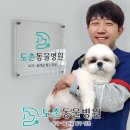 도촌 동물병원 이미지