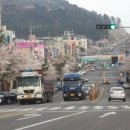 회야강변 이미지