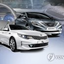 덕양자동차검사소 이미지