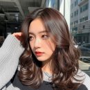 가을빛헤어라인