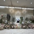 그랜드볼륨홀뷔페 | [웨딩 #01] 상록아트홀 그랜드볼륨홀 27년 상반기 계약 후기, 식대 및 계약금, 공무원 할인, 서울 인기...