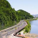 무궁화사 이미지