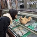 지동목장 이미지