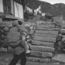 1958년 하계 설악산 사진과 등반 사진 이미지