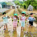 광탄어린이집 이미지