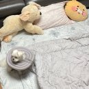 집순이를 이겨버린 10월의 날씨