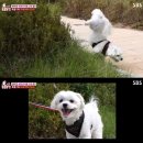 채선농장 이미지