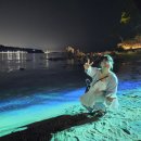씨유울산진하해변점 | 울산 진하해수욕장 [명선도·명선교] 주말 주차 및 만조 물때 꿀팁, 인생샷 미디어아트 투어 ✨
