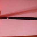 바이오 마스터 이미지