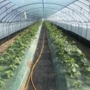 수현농장 이미지