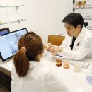 서울더스마일치과의원 네이버블로그