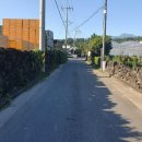 강정동-30 이미지