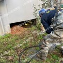 텃골로 33번길 이미지