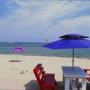 바다비행사 이미지