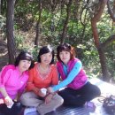 현순농장 이미지