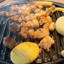 치리돈 이미지