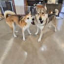 멍블랑 유치원 이미지