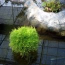 동희농원 이미지