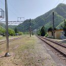 신동초 마차분교장 이미지