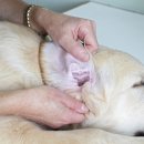 성복동물병원 이미지