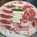 용인 수지구청역 인근 삼겹살, 뒷고기 회식 맛집인 &#39;오늘은 뒷고기&#39; 솔직 후기
