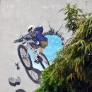 낙동강자전거교실 이미지