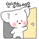 송쉐프구의점 이미지