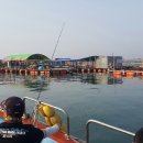 부흥호 가두리 낚시터 이미지