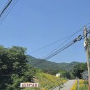 선진전기조명 | 알솔레바베큐 | 수영장이 있는 프라이빗 서울근교 용인 글램핑